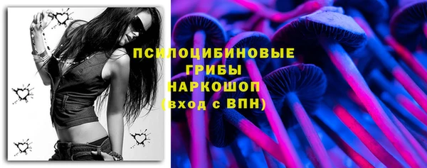дурь Белокуриха