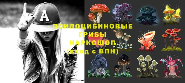 марки nbome Богданович