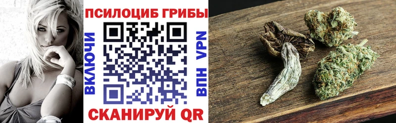 Псилоцибиновые грибы GOLDEN TEACHER  Бутурлиновка 